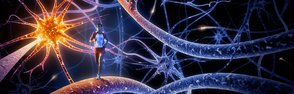 L’importanza di nutrirsi allenandosi