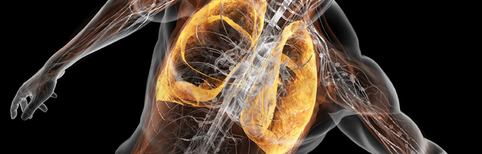 Educazione Respiratoria