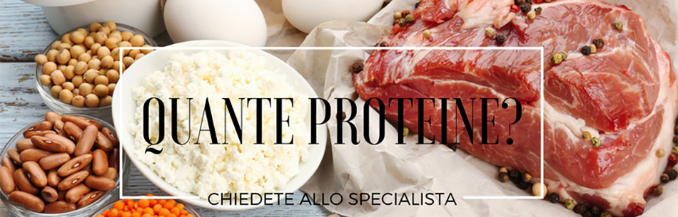 Apporto proteico: quante proteine assumere?