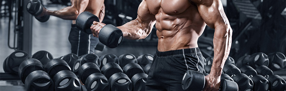 Master Preparazione alla gara del Body Builder
