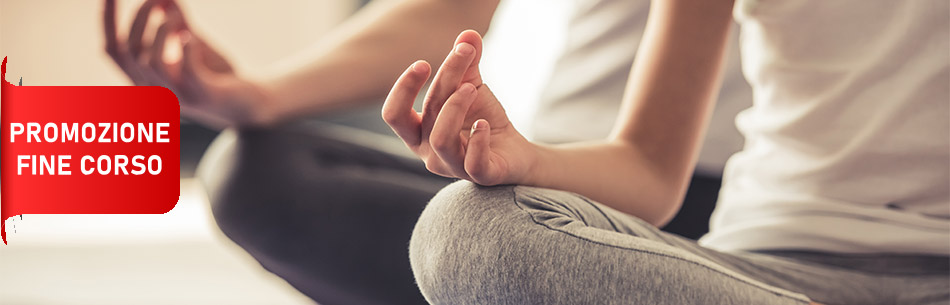Promo Percorso Hatha Yoga Internazionale / 1°- 2° seminario