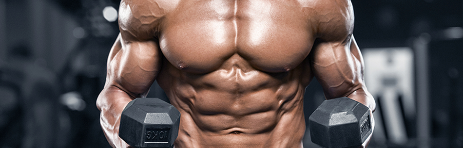 Corso Body Building 1° Livello