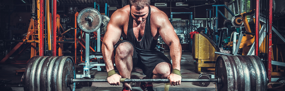 Il Powerlifting “disciplina di potenza o di forza?”