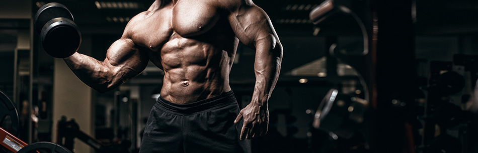 La suddivisione delle Fibre Muscoli nel nostro corpo